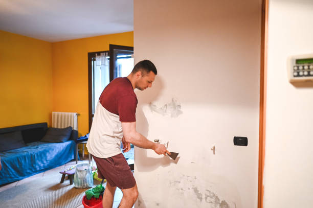 Best Crawl Space Mold Removal  in Jensen Beach, FL